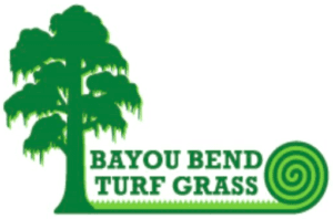 Bayou Bend Turf Grass